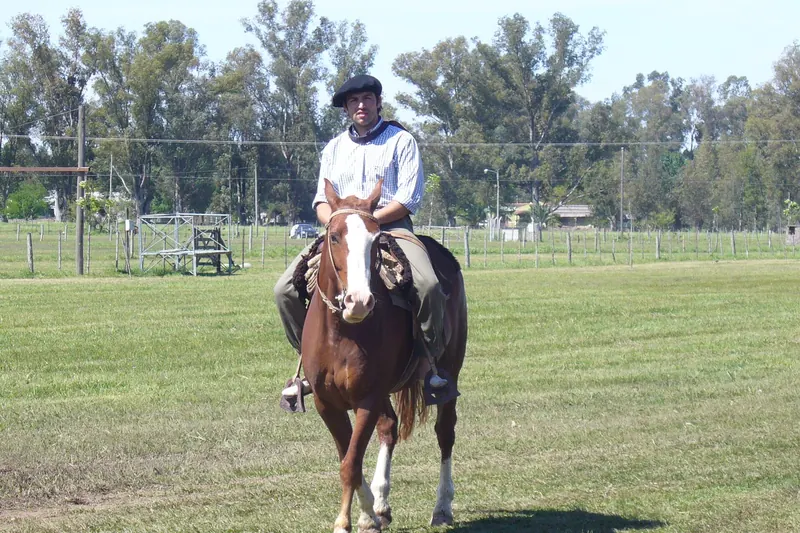 A gaucho on horseback on the pampas