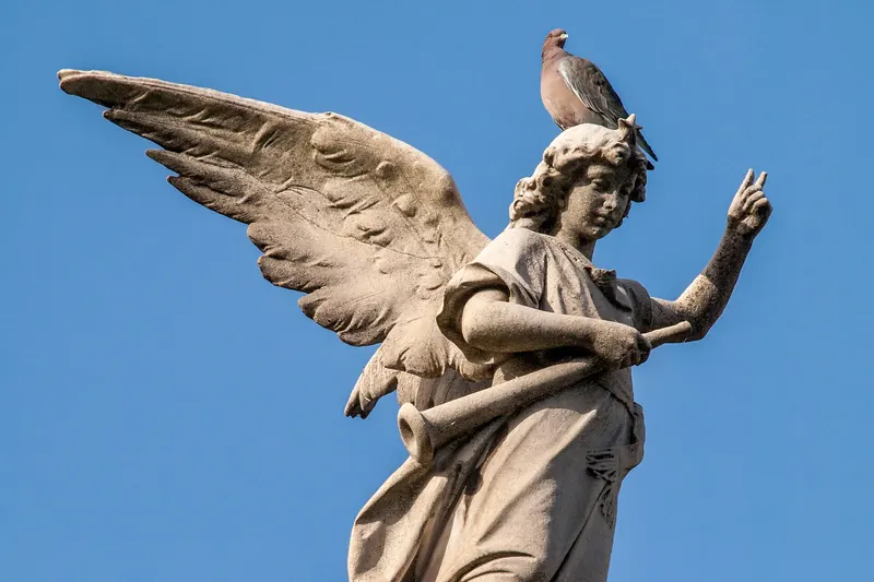 Ornate mausoleums lining the alleys of Recoleta Cemetery in Buenos Aires