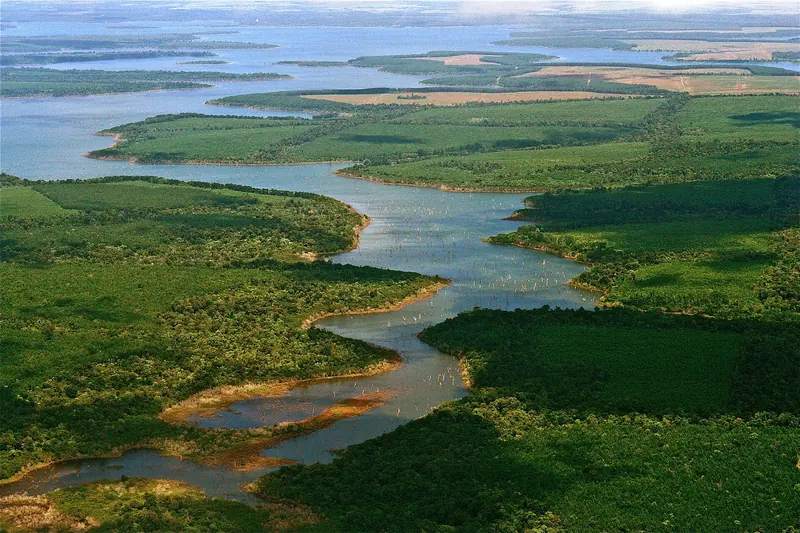 An aerial view of the Iberá wetlands with lagoons and floating vegetation