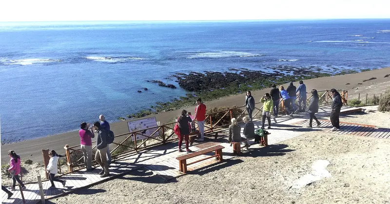 A view along the shore at Punta Norte, where orcas hunt sea lions