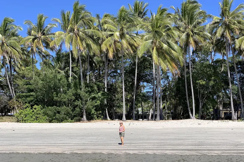 Four Mile Beach at Port Douglas with palm trees and sand