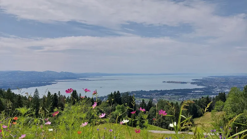 Bregenz on the shore of Lake Constance in Austria's Vorarlberg region