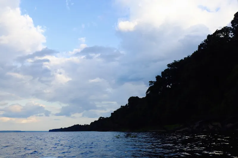 Islands and channels of the Anavilhanas archipelago in the Rio Negro