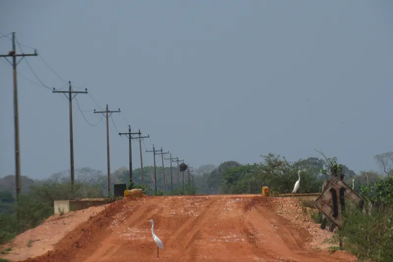 A dirt road with wooden bridges crossing the Transpantaneira in the Pantanal