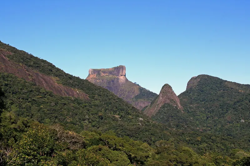 Trees and waterfalls in the Tijuca Forest above Rio