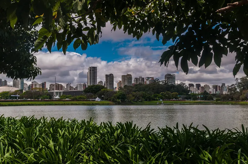 Trees and a pond in Ibirapuera Park in São Paulo