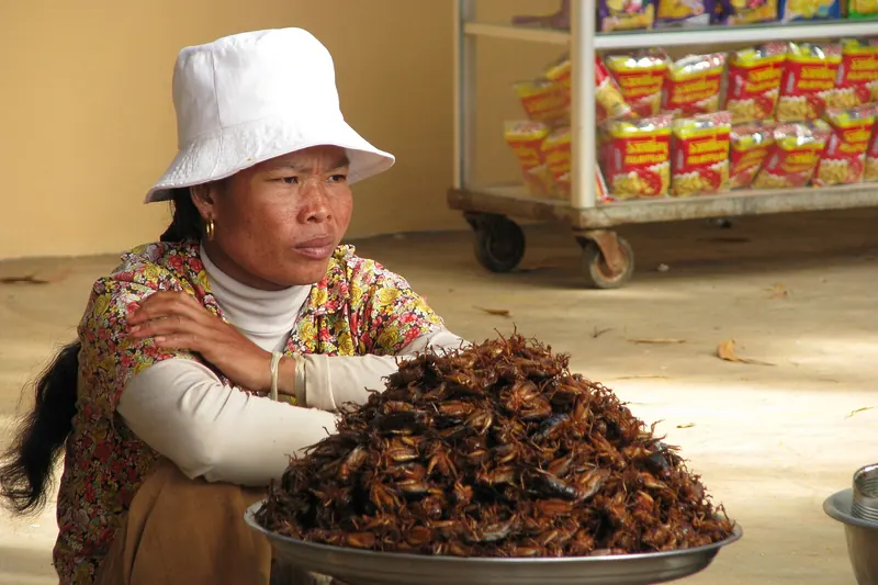 Insects sold as snacks at a Cambodian market