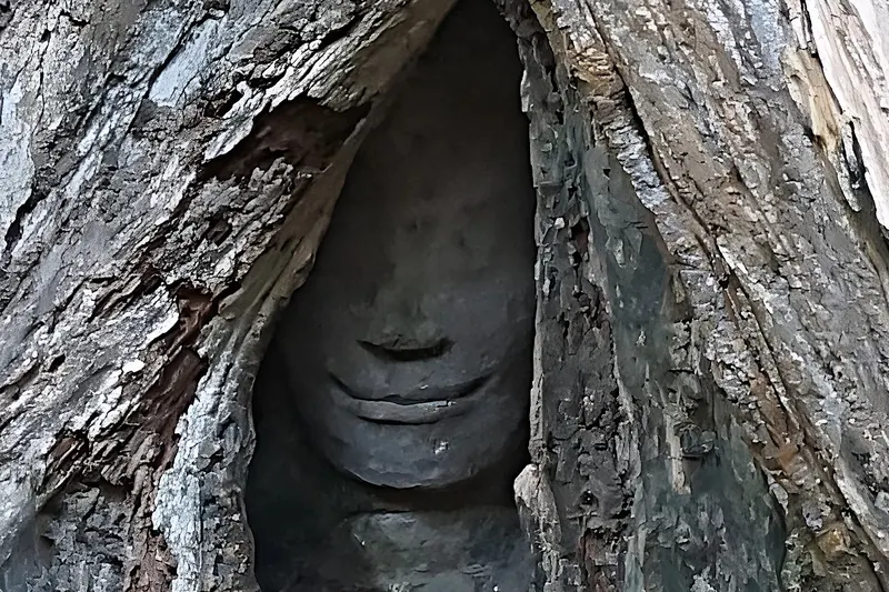 A Buddha image in the roots at Ta Prohm