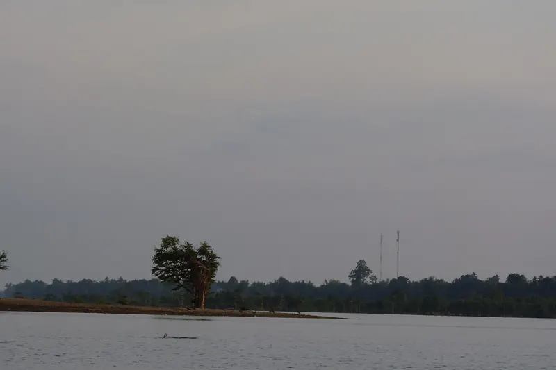 Spotting Irrawaddy dolphins