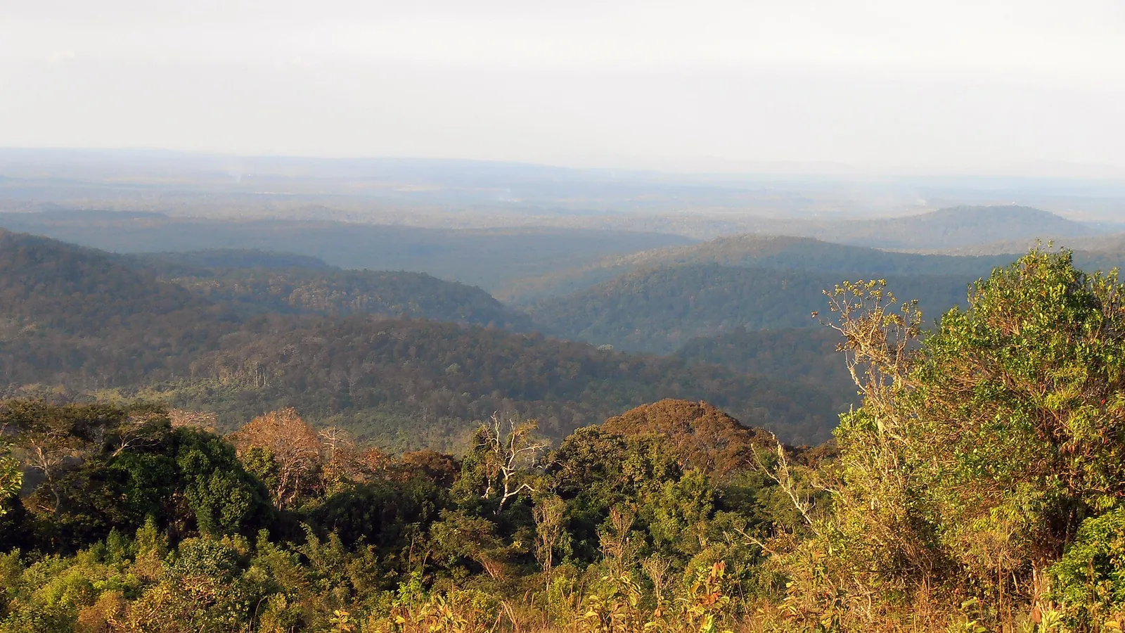 Rolling hills in Mondulkiri province