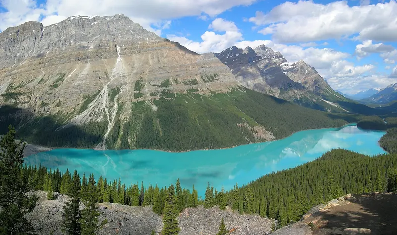 Peyto Lake from its viewpoint