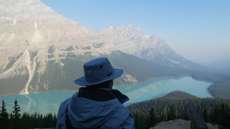 The viewpoint over Peyto Lake