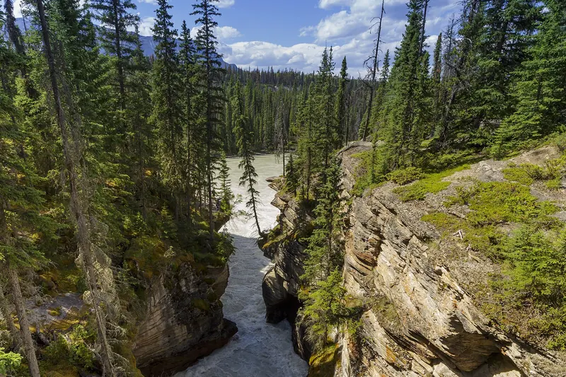 Athabasca Falls in Jasper National Park