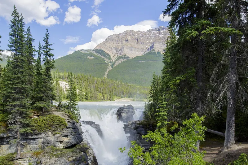 Hiking the trail at Athabasca Falls