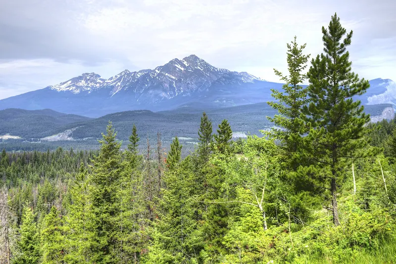 Walking the trail at Maligne Canyon