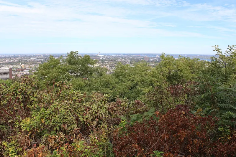 The view from Mount Royal Lookout in Montreal
