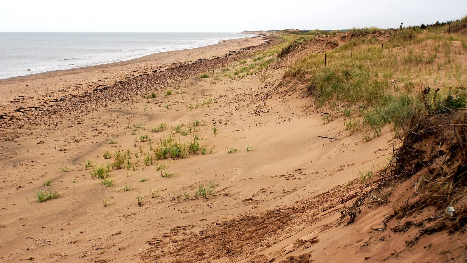 Red sand cliffs at Prince Edward Island National Park