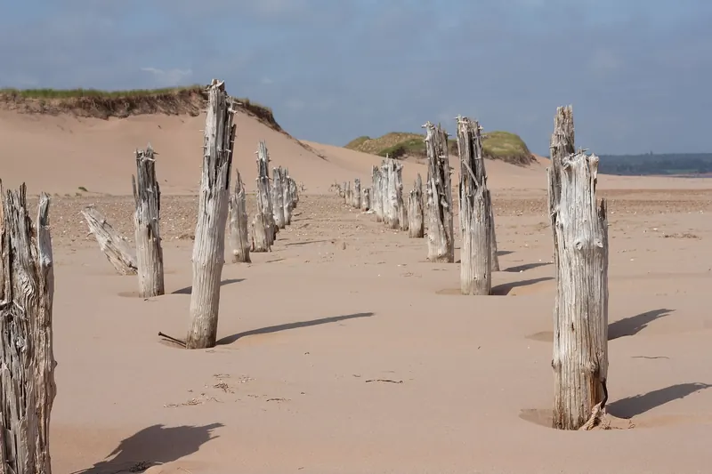 Old wharf posts on the beach at Prince Edward Island National Park