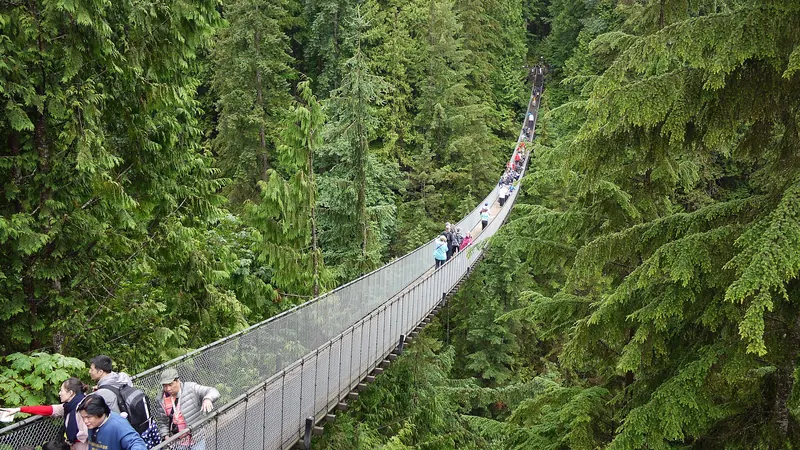 The Capilano Suspension Bridge near Vancouver