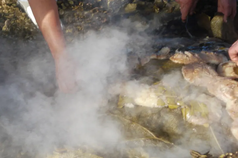 Uncovering a curanto earth-oven feast