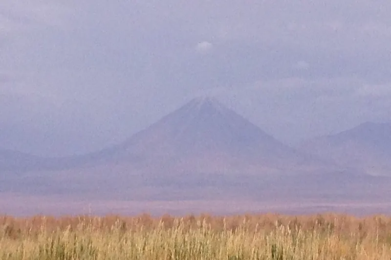 Laguna Cejar in the Atacama