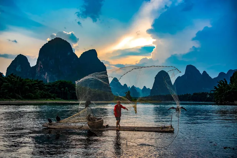 A fisherman with trained cormorants on a bamboo raft on the Li River