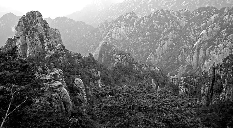 Granite peaks of Huangshan rising through cloud, with pine trees in the foreground
