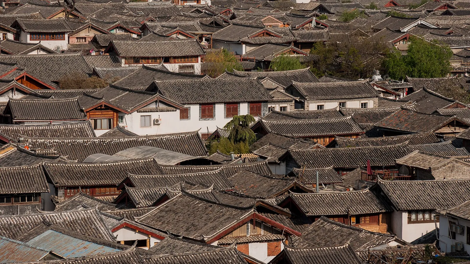 The canal-lined rooftops of Lijiang's Old Town seen from above