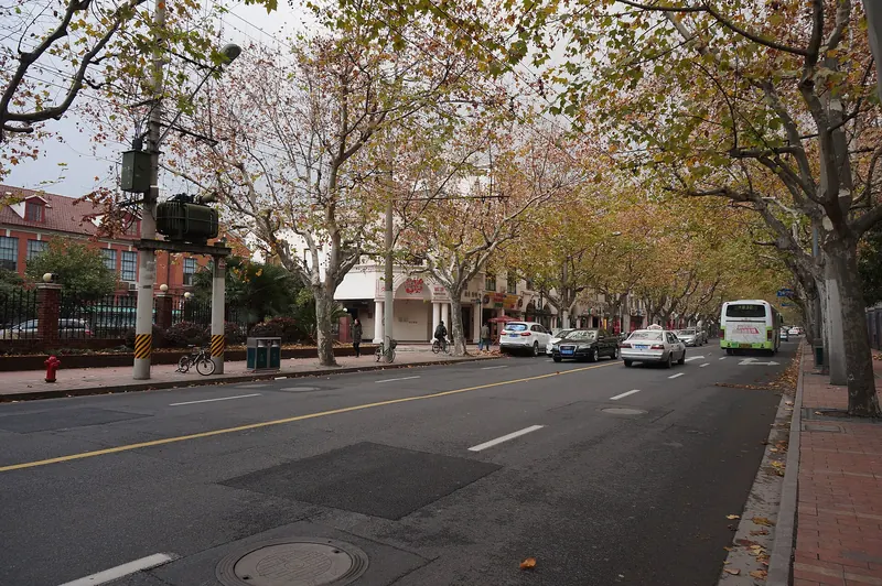 A tree-lined street of 1920s buildings in the French Concession