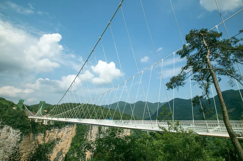 The glass-bottomed bridge suspended above Zhangjiajie Grand Canyon