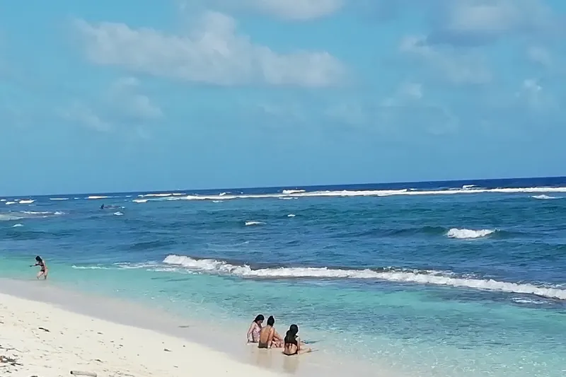 The turquoise water and palm-fringed shoreline of San Andrés island
