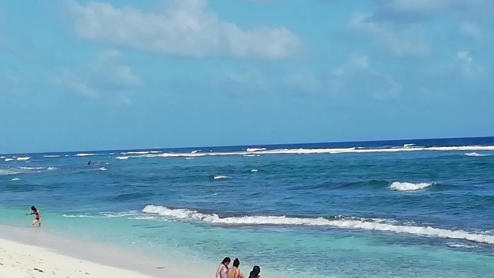 The turquoise water and palm-fringed shoreline of San Andrés island