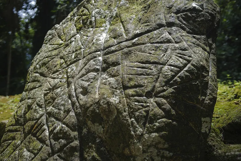 Stone terraces of the Ciudad Perdida archaeological site in the jungle