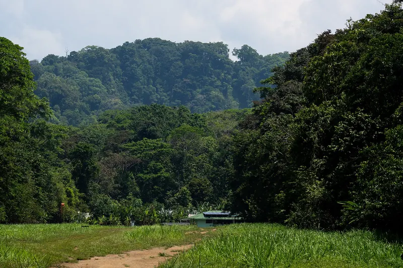 The Sirena ranger station in Corcovado