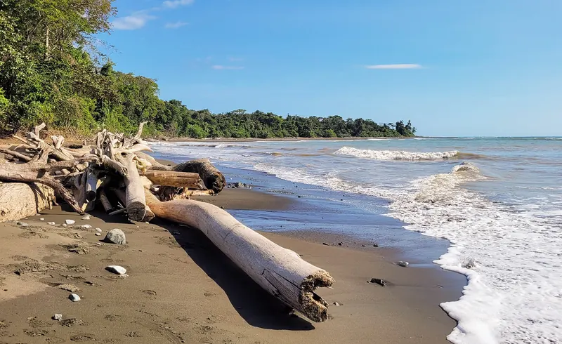 The coast of Corcovado National Park