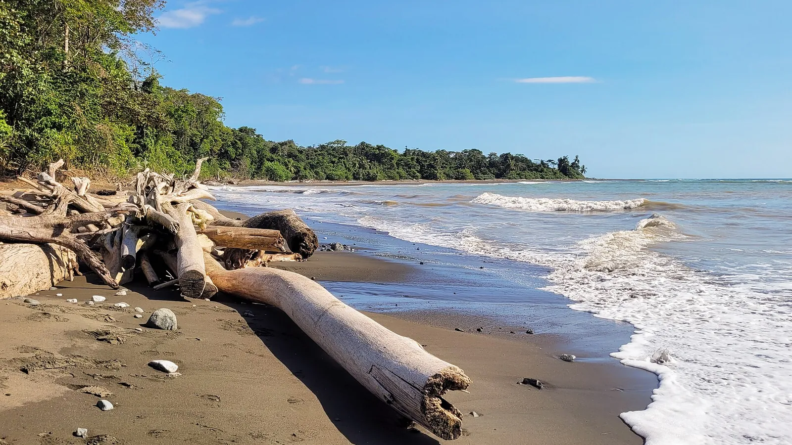 The coast of Corcovado National Park