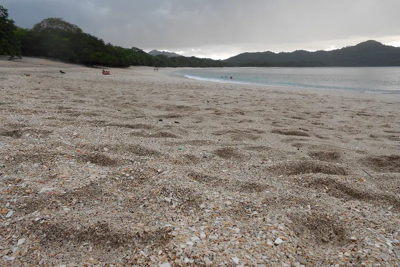 The crushed-shell sand of Playa Conchal