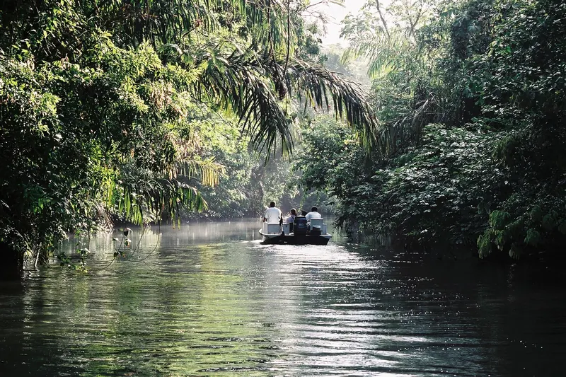 A boat trip through the Tortuguero canals