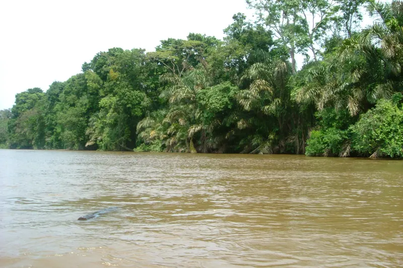 A jungle canal in Tortuguero National Park