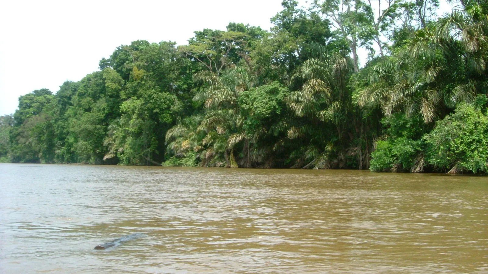A jungle canal in Tortuguero National Park