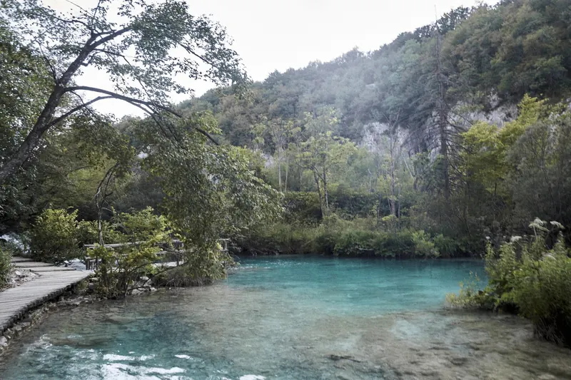 Turquoise terraced lakes in the Upper Lakes area of Plitvice
