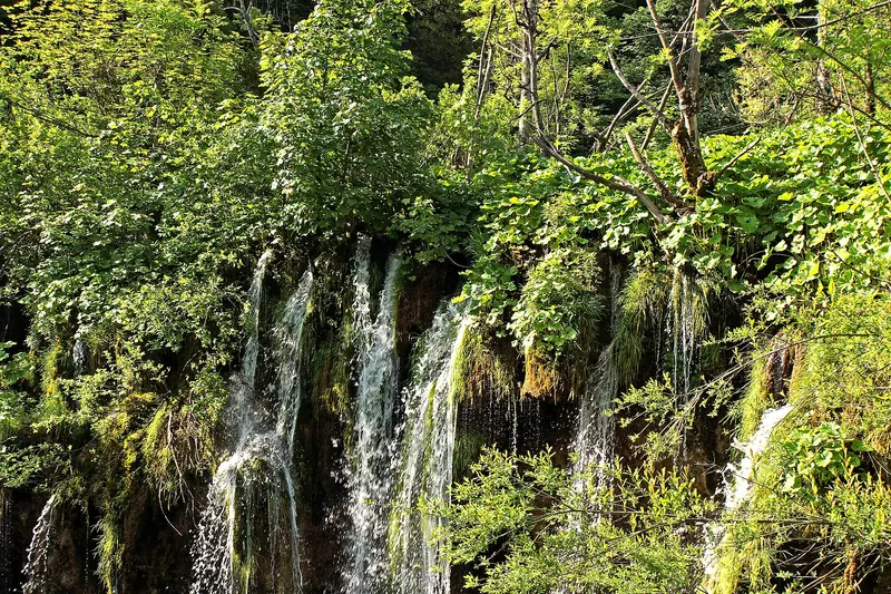 Boardwalks crossing turquoise water at Plitvice