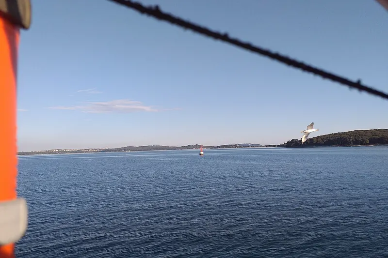 Boating to the Brijuni Islands near Pula
