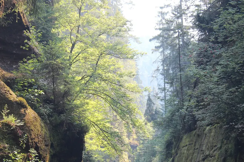 A boat trip through Edmund Gorge