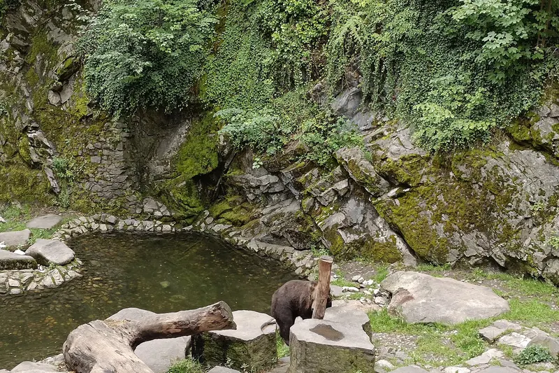 Bears in the moat of Český Krumlov Castle