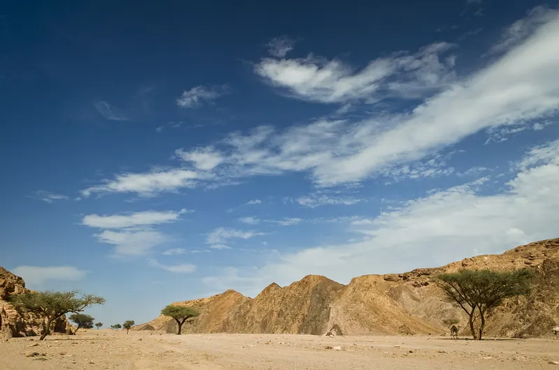 The South Sinai coastline near Sharm El Sheikh