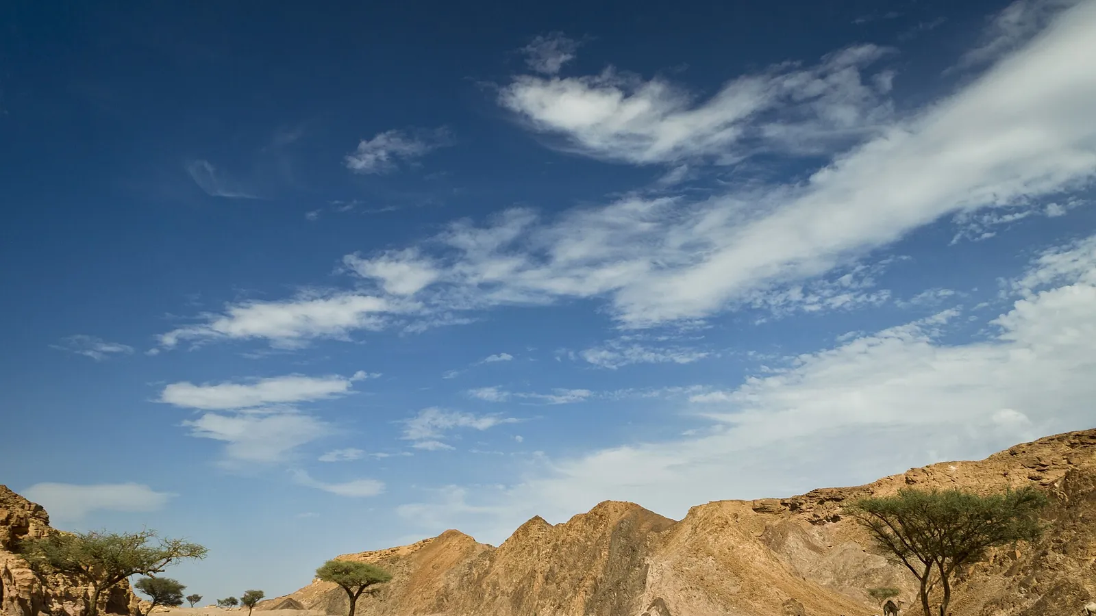 The South Sinai coastline near Sharm El Sheikh