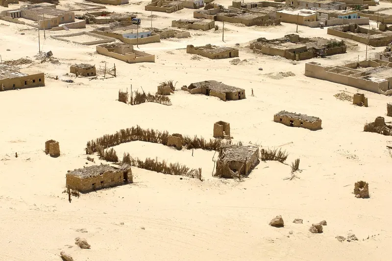 Palm groves and desert houses around Siwa Oasis