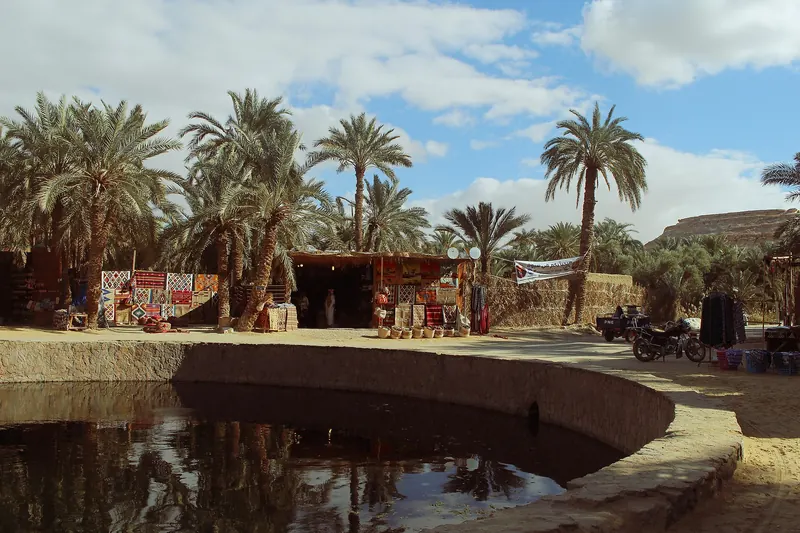 Swimming in Cleopatra's Spring in Siwa