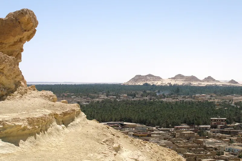 Palm groves on the outskirts of Siwa Oasis
